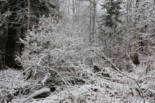 695211 (a): :2400x1600